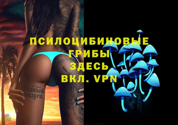 бутират Белокуриха