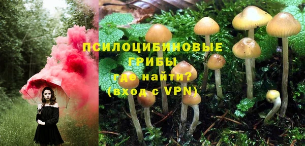 mdpv Покачи