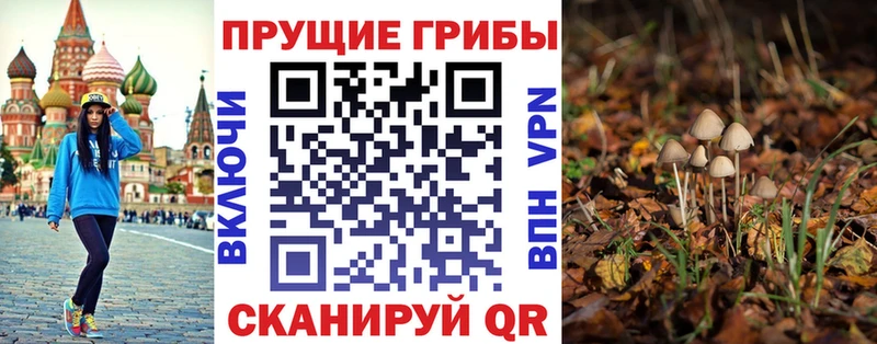 Псилоцибиновые грибы MAGIC MUSHROOMS  Смоленск 